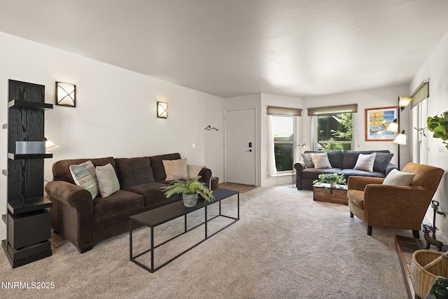 136 Juanita Dr Unit 53, Incline Village, NV 89451 - living area with light carpet