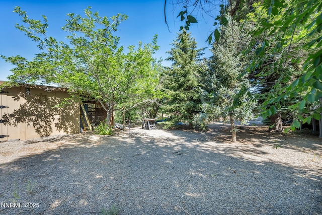 15333 Kivett Ln, Reno, NV 89521 - view of yard