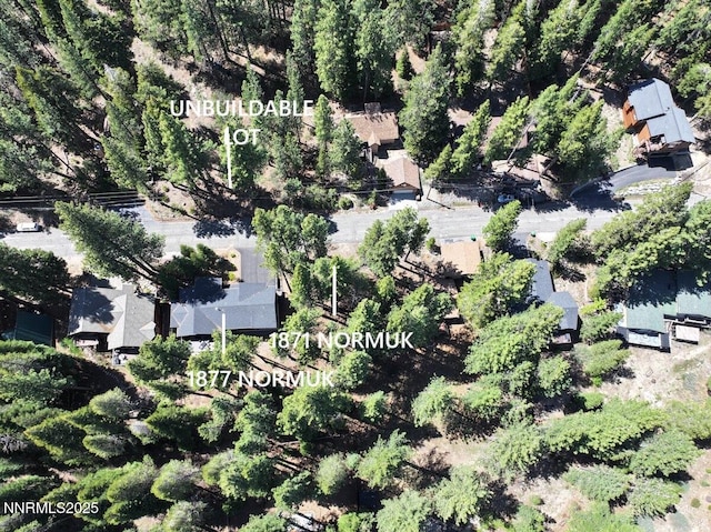 1871 Normuk St, South Lake Tahoe, CA 96150