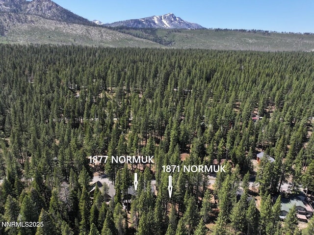 1871 Normuk St, South Lake Tahoe, CA 96150