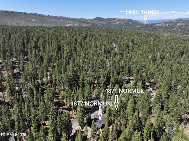 1871 Normuk St, South Lake Tahoe, CA 96150