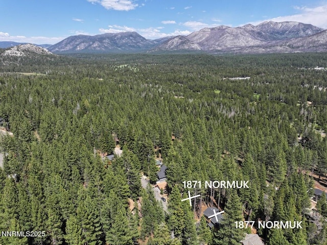 1871 Normuk St, South Lake Tahoe, CA 96150