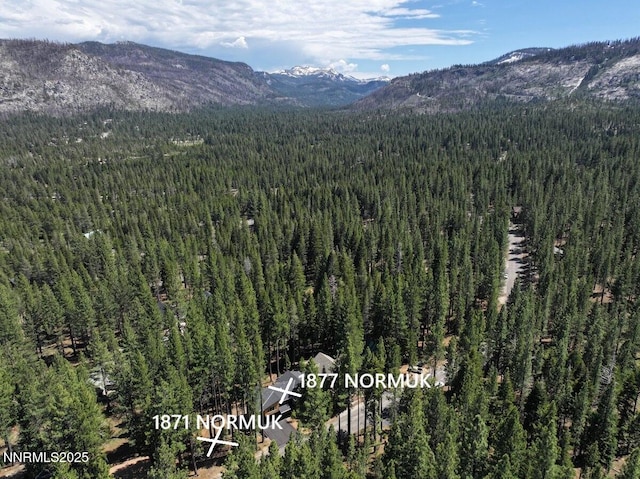1871 Normuk St, South Lake Tahoe, CA 96150