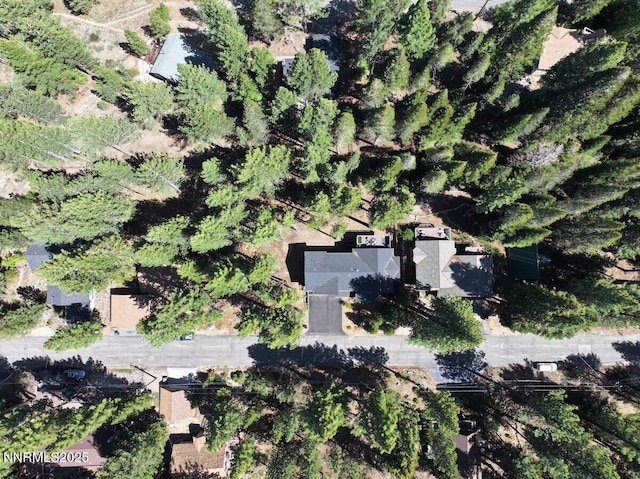 1877 Normuk St, South Lake Tahoe, CA 96150 - aerial view of property and surrounding area