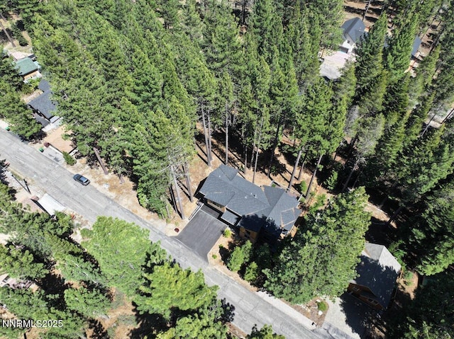 1877 Normuk St, South Lake Tahoe, CA 96150 - aerial view of property's location