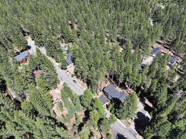1877 Normuk St, South Lake Tahoe, CA 96150 - aerial overview of property's location