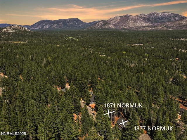 1877 Normuk St, South Lake Tahoe, CA 96150 - mountain view featuring a heavily wooded area