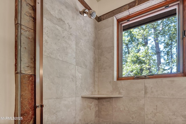 886 Rosewood Cir, Incline Village, NV 89451 - bathroom view of a tile shower
