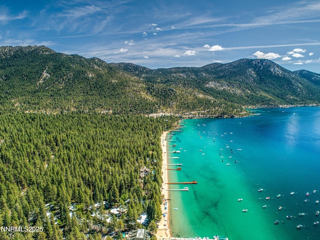 886 Rosewood Cir, Incline Village, NV 89451 - bird's eye view of a water and mountain view