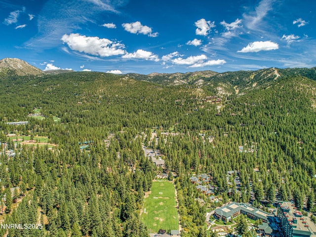 886 Rosewood Cir, Incline Village, NV 89451 - drone / aerial view of a heavily wooded area and a mountain backdrop