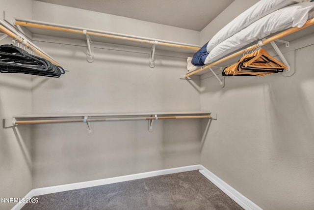 3678 Hollywood Park Dr, Reno, NV 89512 - walk in closet featuring carpet floors
