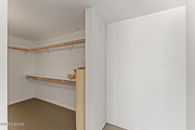 255 N Sierra St Unit 1709, Reno, NV 89501 - walk in closet featuring carpet flooring