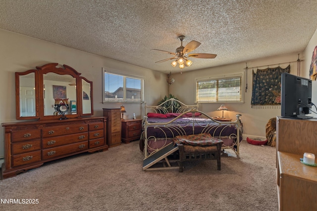 509 Sonoma St, Carson City, NV 89701 - photo 12