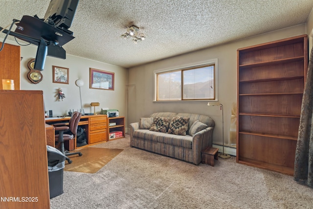509 Sonoma St, Carson City, NV 89701 - photo 15