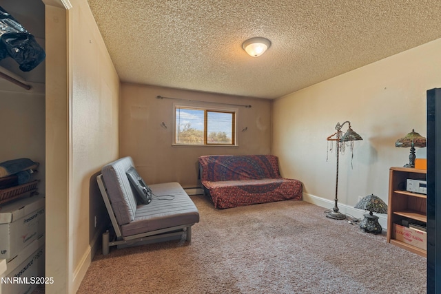 509 Sonoma St, Carson City, NV 89701 - photo 17