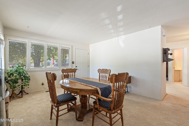 561 Ruth St, Carson City, NV 89701 - photo 7