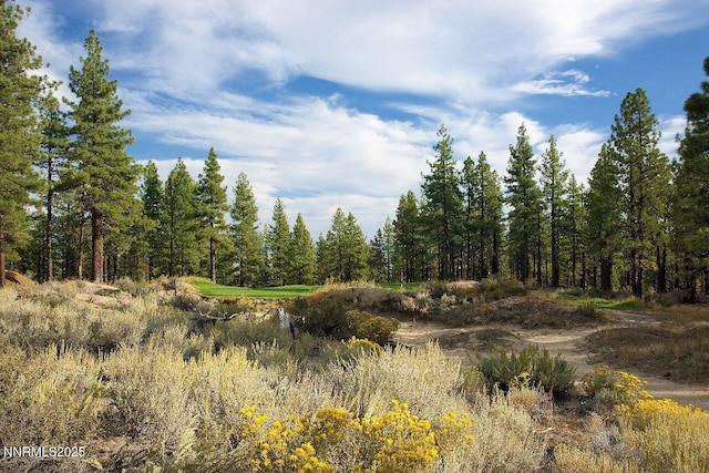 245 Redding Way Unit 226, Carson City, NV 89705