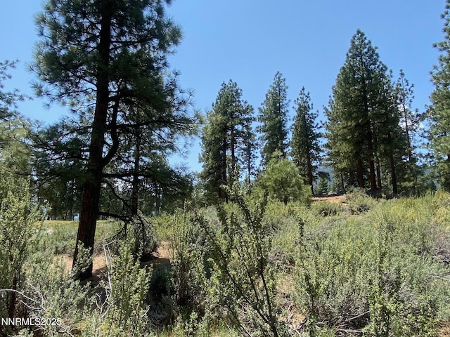 245 Redding Way Unit 226, Carson City, NV 89705