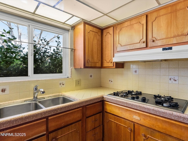 3725 El Rancho Dr, Sun Valley, NV 89433 - photo 8