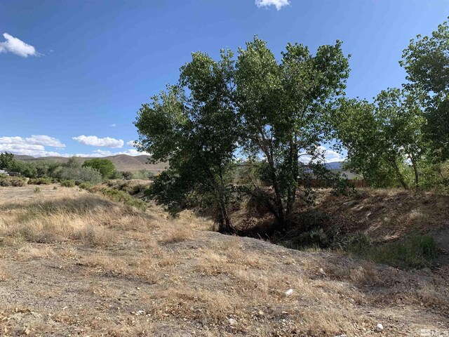 698 Jennys Ln, Fernley, NV 89408