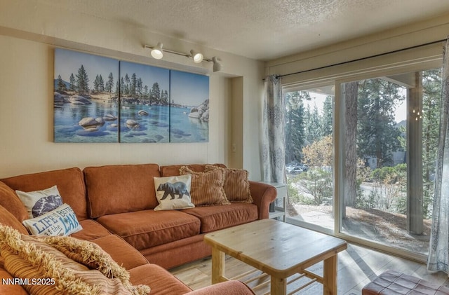 810 Alder Ave Unit 61, Incline Village, NV 89451 - living room featuring healthy amount of natural light, a textured ceiling, and light tile patterned floors