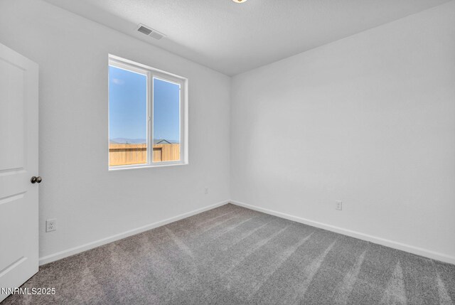 3297 Hadley St Lot 61, Fernley, NV 89408 - photo 20