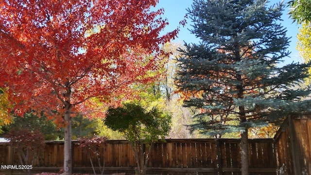 799 Caughlin Gln, Reno, NV 89519 - view of yard