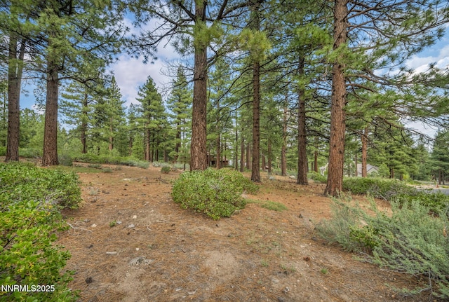 307 E Jeffrey Pine Rd Unit 3, Reno, NV 89511