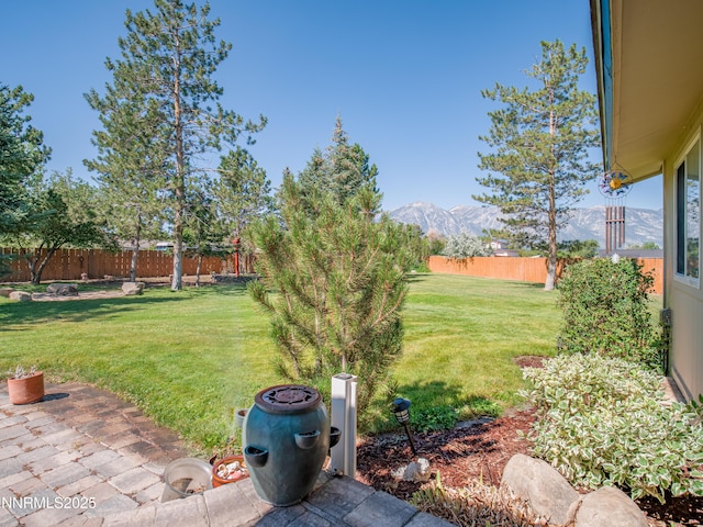 950 Morning Star Ct, Gardnerville, NV 89460 - photo 36