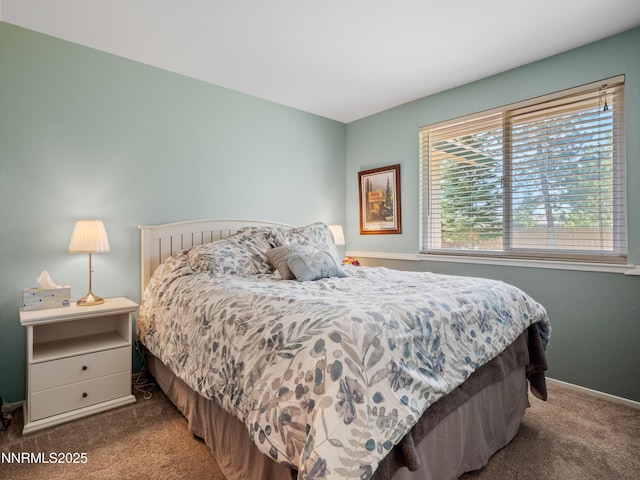 950 Morning Star Ct, Gardnerville, NV 89460 - photo 18