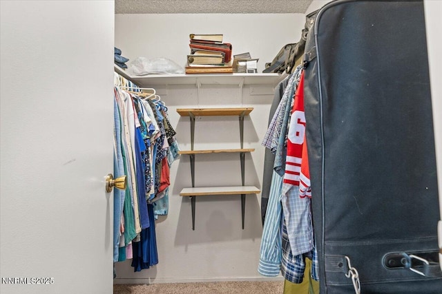 4415 Leche Way, Reno, NV 89502 - spacious closet featuring carpet floors