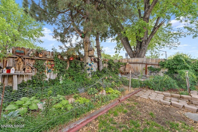 4415 Leche Way, Reno, NV 89502 - view of yard