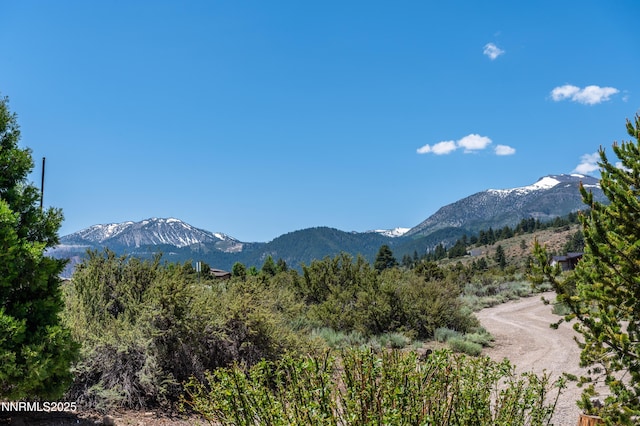 15118 N Timberline Dr, Reno, NV 89511 - mountain view