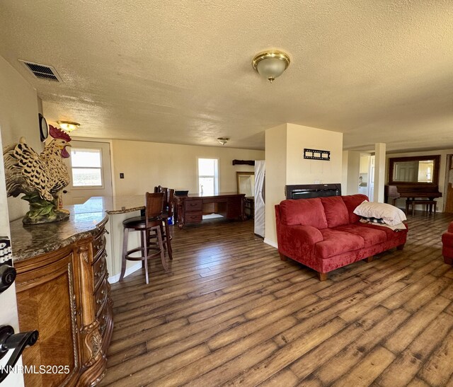 13995 Grass Valley Rd, Winnemucca, NV 89445 - living room with a textured ceiling, dark wood-type flooring, healthy amount of natural light, and a fireplace