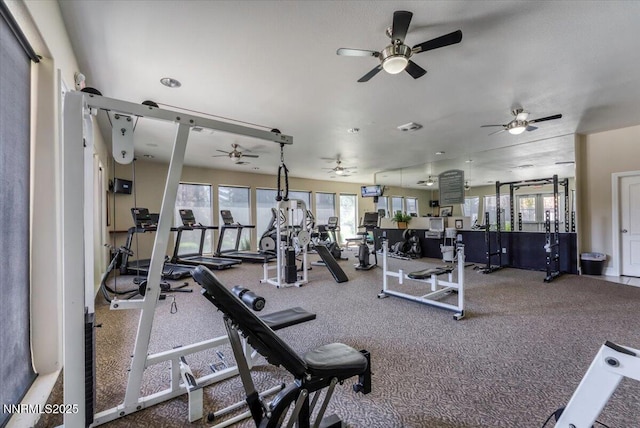 6850 Sharlands Ave Unit F2030, Reno, NV 89523 - exercise room with healthy amount of natural light, a ceiling fan, and carpet floors