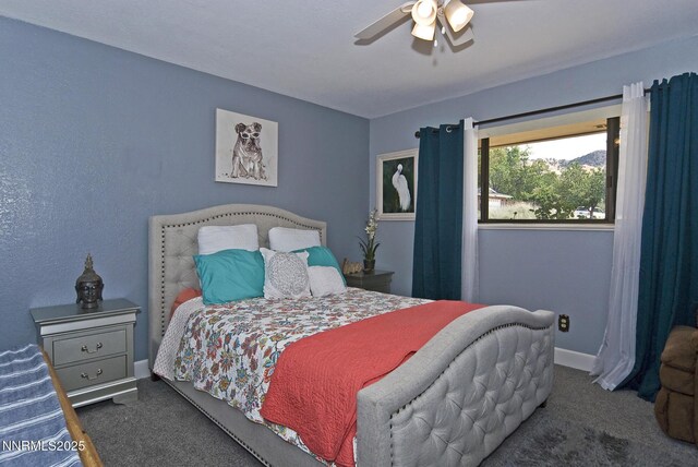 5705 Blue Hills Dr, Reno, NV 89502 - photo 29