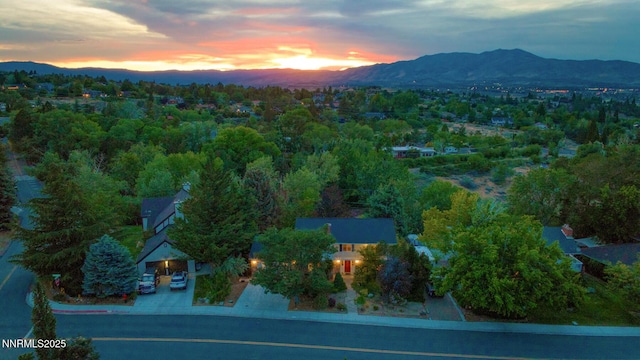 3315 Marthiam Ave, Reno, NV 89509 - photo 64