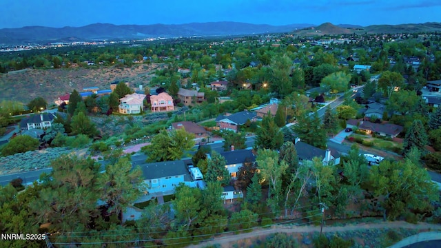 3315 Marthiam Ave, Reno, NV 89509 - photo 67