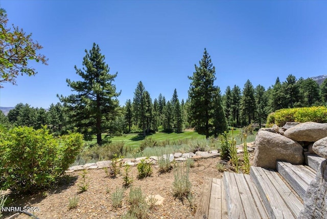 6380 Wetzel Ct, Reno, NV 89511 - photo 51