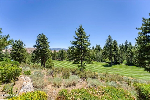 6380 Wetzel Ct, Reno, NV 89511 - photo 54