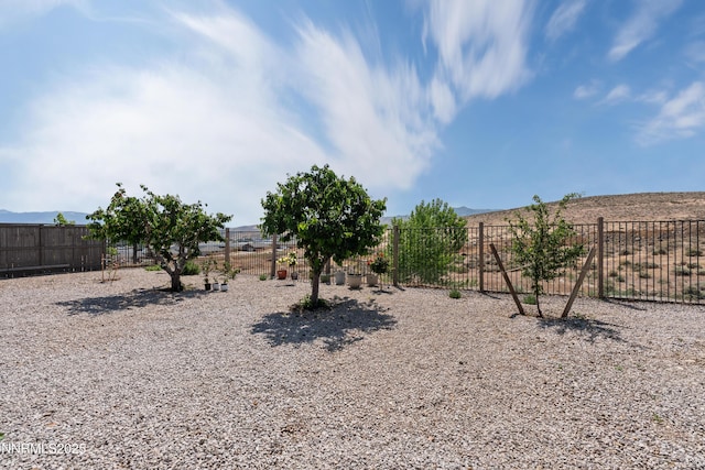 7935 Opal Station Dr, Reno, NV 89506 - view of yard