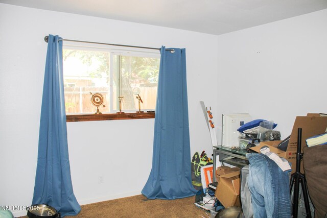 1535 Van Ness Ave, Reno, NV 89503 - photo 29