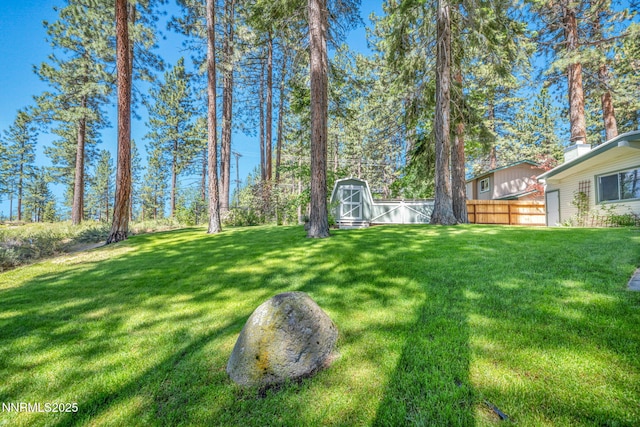 161 Willow Dr, Zephyr Cove, NV 89448 - view of yard with a shed