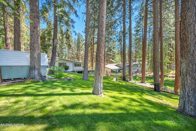 161 Willow Dr, Zephyr Cove, NV 89448 - view of grassy yard