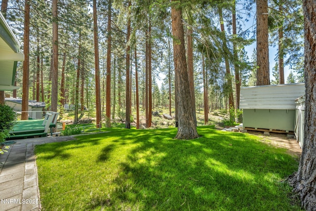 161 Willow Dr, Zephyr Cove, NV 89448 - view of green lawn