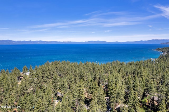 161 Willow Dr, Zephyr Cove, NV 89448 - water view with a mountain backdrop