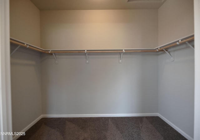 226 Red Oak Dr, Fernley, NV 89408 - spacious closet with dark carpet