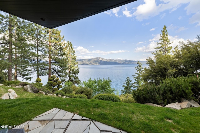 580 Gonowabie Rd, Crystal Bay, NV 89402 - photo 59