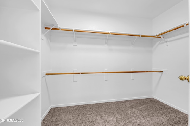 5643 Cranberry Ct, Sun Valley, NV 89433 - photo 25