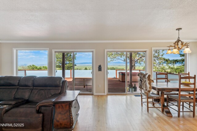 1299 W Kingsbury Grade Rd, Gardnerville, NV 89460 - photo 11